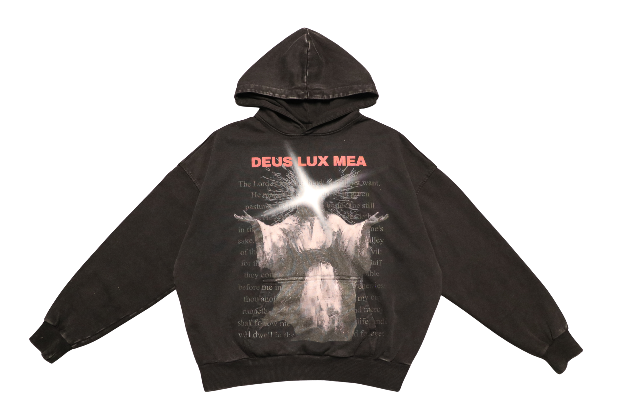 PSALM 23 Hoodie